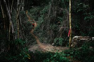 BIB: 
                            <button type="button" onclick="openModal(22242004)" class="btn btn-primary btn-sm float-right btn-popup" data-toggle="modal" data-target=".modal-high-quality">
                        <i class="fas fa-shopping-cart"></i> Add to Cart
                    </button>
                                            <button type="button" onclick="isThisMe(22242004, true)" class="btn btn-success btn-sm float-right btn-popup btn-isme hidden" data-toggle="tooltip" data-placement="bottom" title="นี่คือรูปของคุณใช่ไหม คลิกที่นี่เพื่อเอาเข้าอัลบั้ม">
                        <i class="fas fa-plus"></i> Add to album
                    </button>
                    <button type="button" onclick="isThisMe(22242004, false)" class="btn btn-warning btn-sm float-right btn-popup btn-isnotme hidden">
                        <i class="fas fa-ban"></i> Remove from album
                    </button>